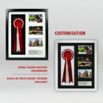 Rosette Framing Kit